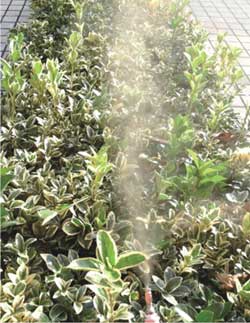 旋流噴嘴噴霧現(xiàn)場圖